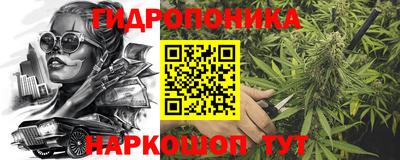 a pvp Донской