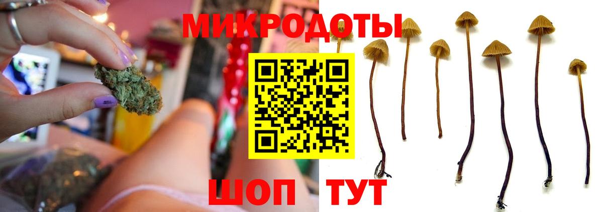 Галлюциногенные грибы прущие грибы  Вход с VPN  Псилоцибиновые грибы мицелий  Биробиджан 